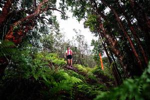 BIB: 
                            <button type="button" onclick="openModal(26202817)" class="btn btn-primary btn-sm float-right btn-popup" data-toggle="modal" data-target=".modal-high-quality">
                        <i class="fas fa-shopping-cart"></i> Add to Cart
                    </button>
                                            <button type="button" onclick="isThisMe(26202817, true)" class="btn btn-success btn-sm float-right btn-popup btn-isme hidden" data-toggle="tooltip" data-placement="bottom" title="นี่คือรูปของคุณใช่ไหม คลิกที่นี่เพื่อเอาเข้าอัลบั้ม">
                        <i class="fas fa-plus"></i> Add to album
                    </button>
                    <button type="button" onclick="isThisMe(26202817, false)" class="btn btn-warning btn-sm float-right btn-popup btn-isnotme hidden">
                        <i class="fas fa-ban"></i> Remove from album
                    </button>